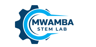 Mwamba Labs